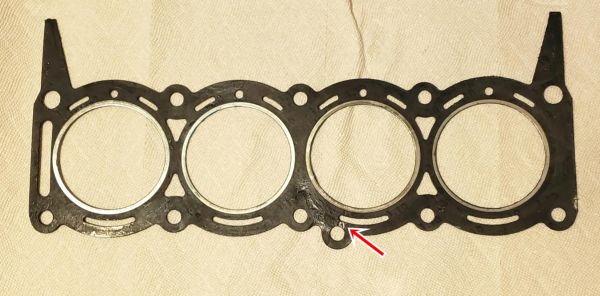 damaged_head_gasket.jpg
