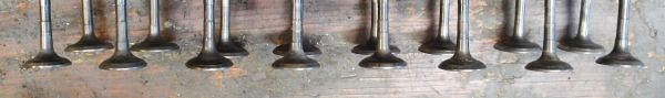 exhaust_valves_showing_margins.jpg