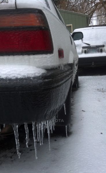 ice_storm_Jan_2016.jpg
