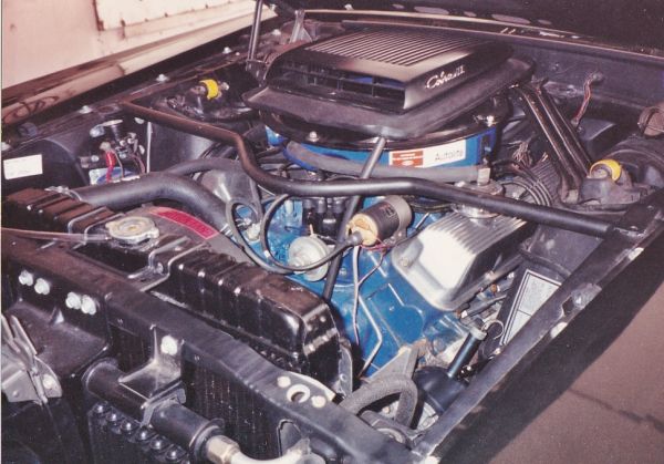 mustang_engine_with_shaker~0.jpg