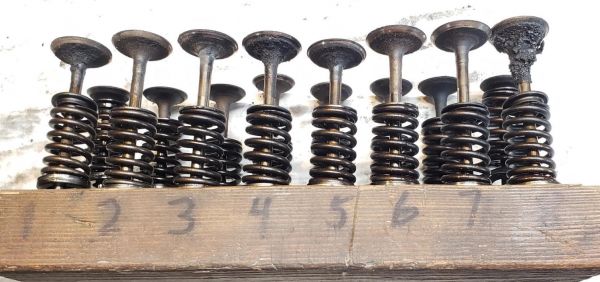 valves_upon_removal.jpg
